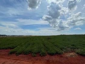 Terrenos em CravinhosSP, investimento seguro e valorização garantida