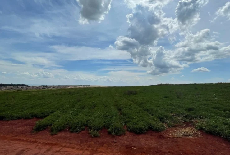 Terrenos em CravinhosSP, investimento seguro e valorização garantida