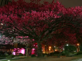 10 cidades brasileiras incríveis para morar e visitar