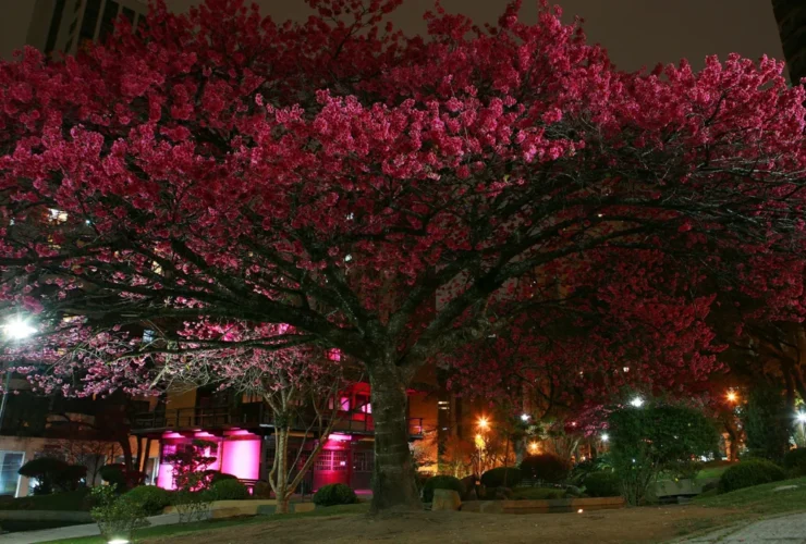 10 cidades brasileiras incríveis para morar e visitar