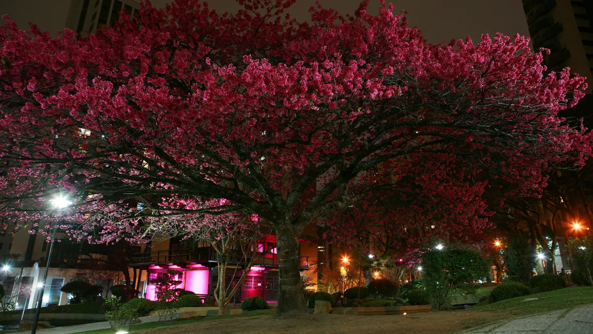 10 cidades brasileiras incríveis para morar e visitar