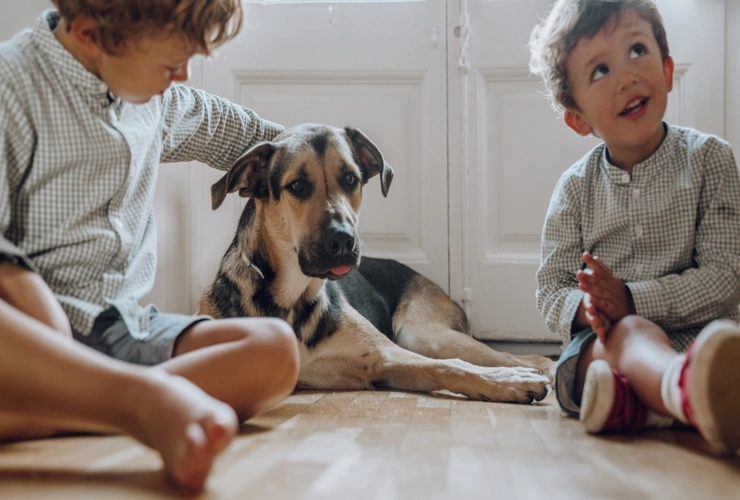 Cachorro em apartamento/ Reprodução do Canva Pro