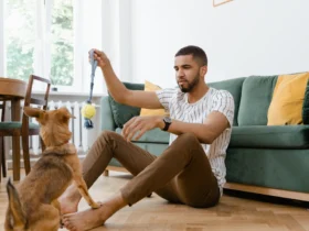 Pode ter cachorro no apê Descubra o que ninguém te conta (mas deveria) sobre morar com pets