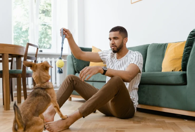 Pode ter cachorro no apê Descubra o que ninguém te conta (mas deveria) sobre morar com pets