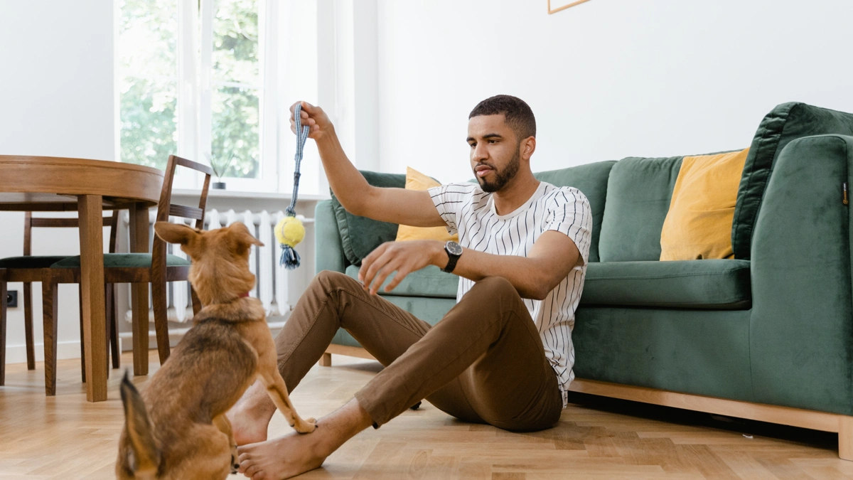 Pode ter cachorro no apê Descubra o que ninguém te conta (mas deveria) sobre morar com pets
