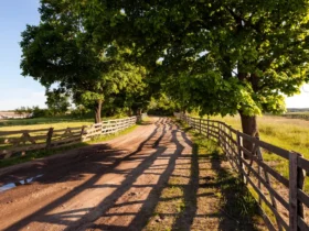 Tudo que você precisa saber sobre CNIR, CCIR, SNCR, CAFIR, CIB, CAR e ITR – guia completo