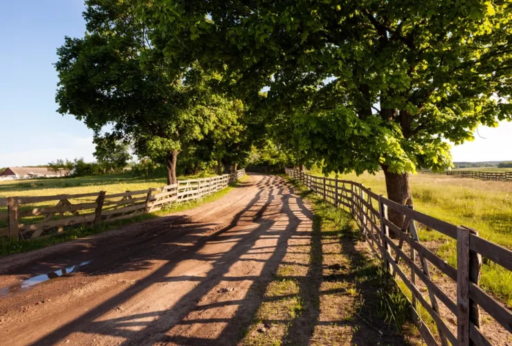 Tudo que você precisa saber sobre CNIR, CCIR, SNCR, CAFIR, CIB, CAR e ITR – guia completo