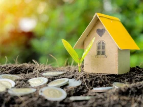 Construindo patrimônio — investir em lotes com visão de futuro