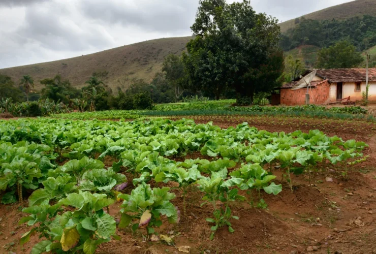 INCRA Descomplicado O que é e como influencia a vida no campo