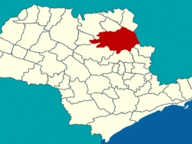 Ribeirão Preto fica perto de qual cidade