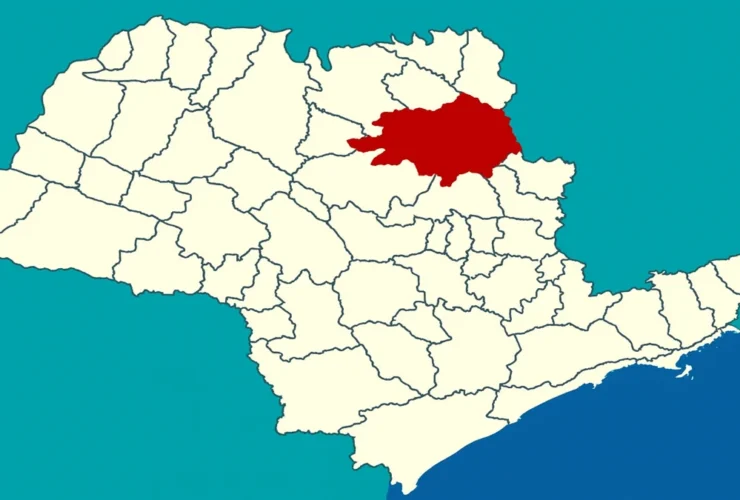 Ribeirão Preto fica perto de qual cidade