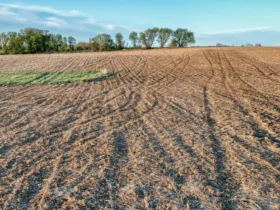 Alqueires e hectares entendendo e aplicando as unidades de medida de área
