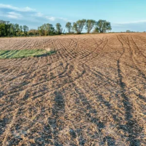 Alqueires e hectares: entendendo e aplicando as unidades de medida de área